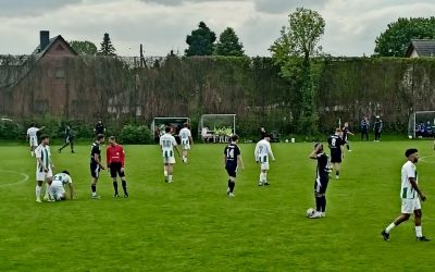 1. Herren: sicherer 3-0-Sieg in Biesdorf!